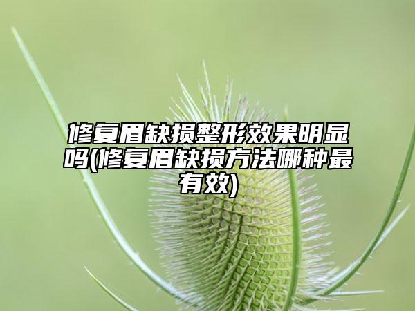 修復(fù)眉缺損整形效果明顯嗎(修復(fù)眉缺損方法哪種最有效)