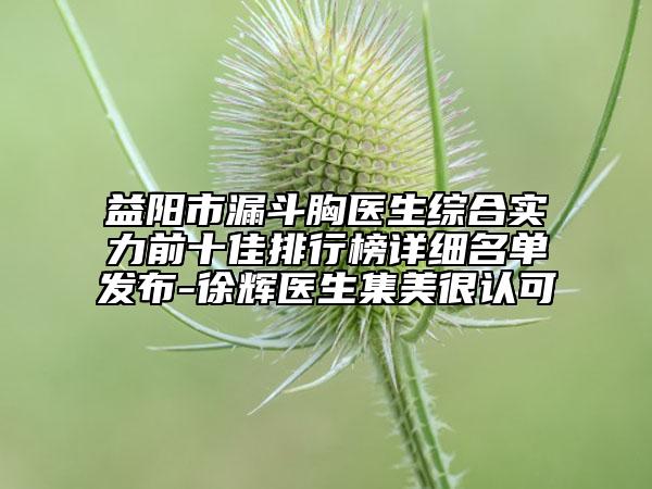 益陽市漏斗胸醫(yī)生綜合實力前十佳排行榜詳細名單發(fā)布-徐輝醫(yī)生集美很認可