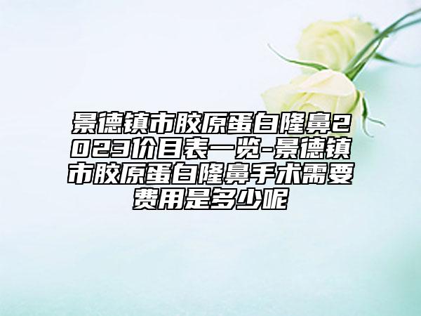 景德鎮(zhèn)市膠原蛋白隆鼻2023價(jià)目表一覽-景德鎮(zhèn)市膠原蛋白隆鼻手術(shù)需要費(fèi)用是多少呢