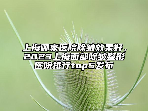 上海哪家醫(yī)院除皺效果好，2023上海面部除皺整形醫(yī)院排行top5發(fā)布