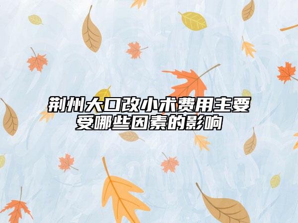 荊州大口改小術(shù)費(fèi)用主要受哪些因素的影響