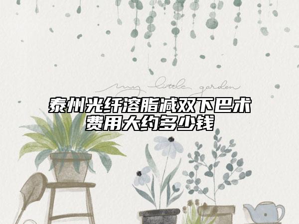 泰州光纖溶脂減雙下巴術(shù)費(fèi)用大約多少錢(qián)