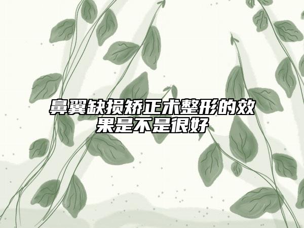 鼻翼缺損矯正術整形的效果是不是很好