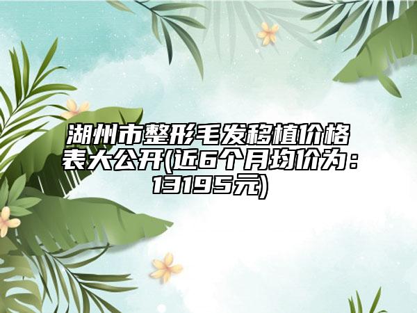 湖州市整形毛發(fā)移植價(jià)格表大公開(近6個(gè)月均價(jià)為：13195元)