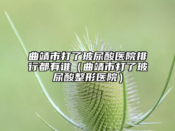 曲靖市打了玻尿酸醫(yī)院排行都有誰(shuí)（曲靖市打了玻尿酸整形醫(yī)院）