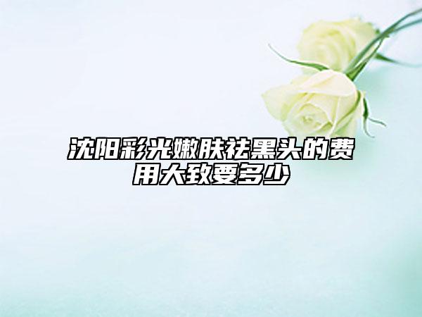 沈陽彩光嫩膚祛黑頭的費(fèi)用大致要多少