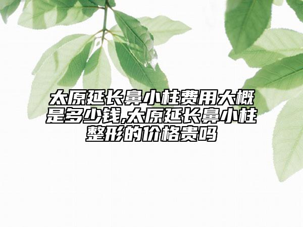 太原延長鼻小柱費用大概是多少錢,太原延長鼻小柱整形的價格貴嗎