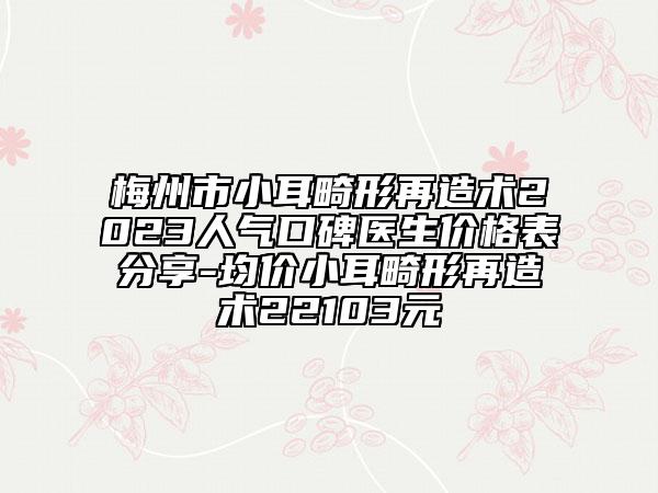 梅州市小耳畸形再造術(shù)2023人氣口碑醫(yī)生價(jià)格表分享-均價(jià)小耳畸形再造術(shù)22103元