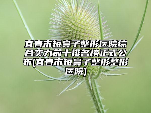 宜春市短鼻子整形醫(yī)院綜合實力前十排名榜正式公布(宜春市短鼻子整形整形醫(yī)院)