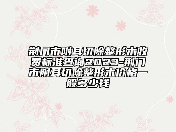荊門市附耳切除整形術(shù)收費標(biāo)準(zhǔn)查詢2023-荊門市附耳切除整形術(shù)價格一般多少錢