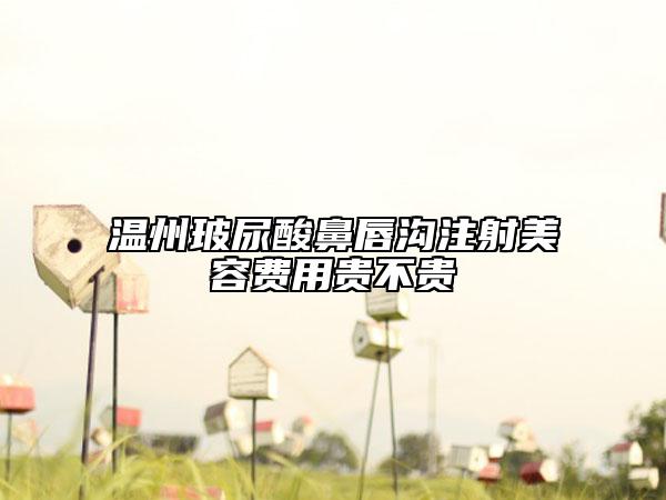 溫州玻尿酸鼻唇溝注射美容費用貴不貴
