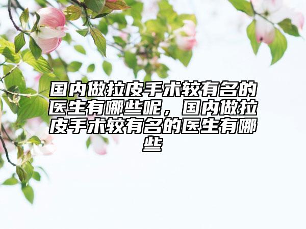國內(nèi)做拉皮手術較有名的醫(yī)生有哪些呢，國內(nèi)做拉皮手術較有名的醫(yī)生有哪些
