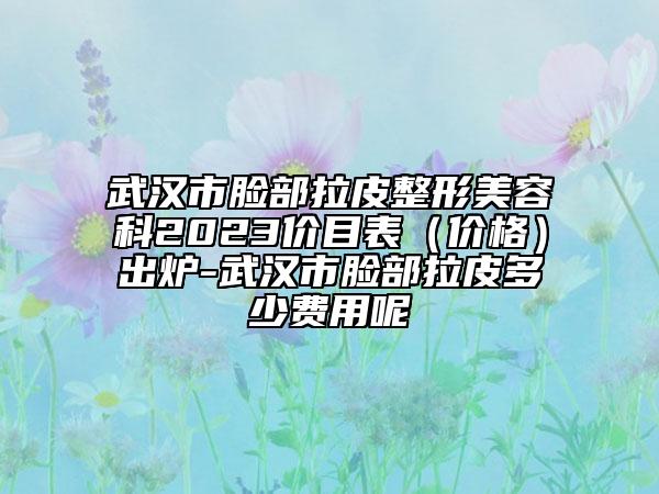 武漢市臉部拉皮整形美容科2023價目表（價格）出爐-武漢市臉部拉皮多少費用呢