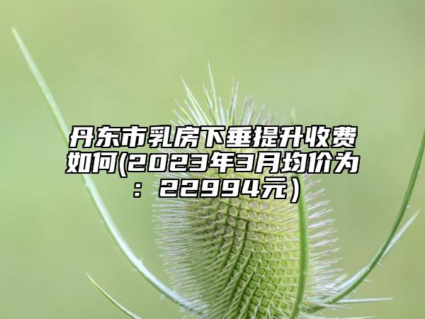 丹東市乳房下垂提升收費如何(2023年3月均價為：22994元）