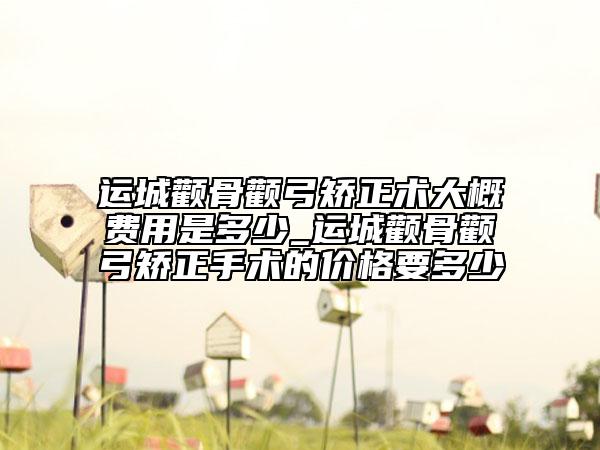 運城顴骨顴弓矯正術大概費用是多少_運城顴骨顴弓矯正手術的價格要多少