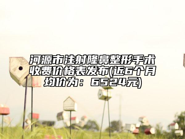 河源市注射隆鼻整形手術(shù)收費(fèi)價(jià)格表發(fā)布(近6個(gè)月均價(jià)為：6524元)