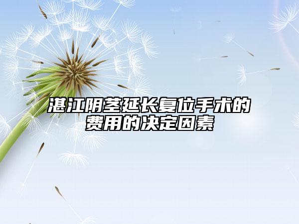 湛江陰莖延長復(fù)位手術(shù)的費用的決定因素