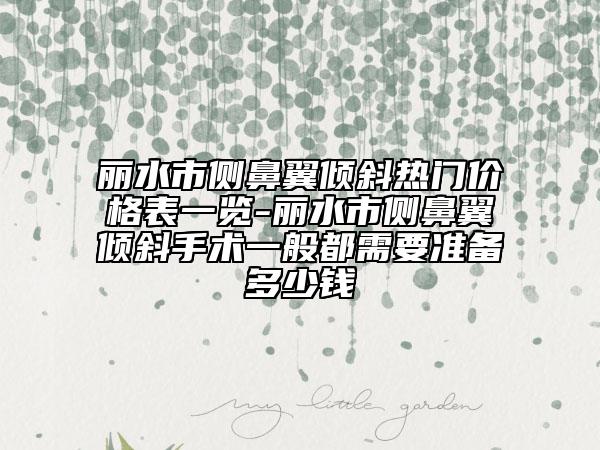 麗水市側(cè)鼻翼傾斜熱門價(jià)格表一覽-麗水市側(cè)鼻翼傾斜手術(shù)一般都需要準(zhǔn)備多少錢