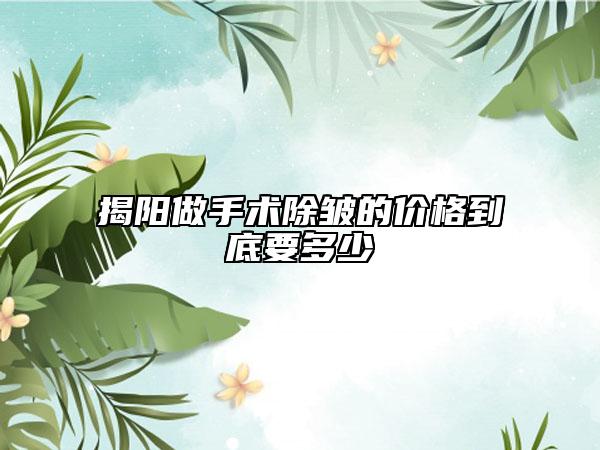 揭陽做手術(shù)除皺的價格到底要多少