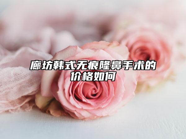 廊坊韓式無痕隆鼻手術(shù)的價(jià)格如何