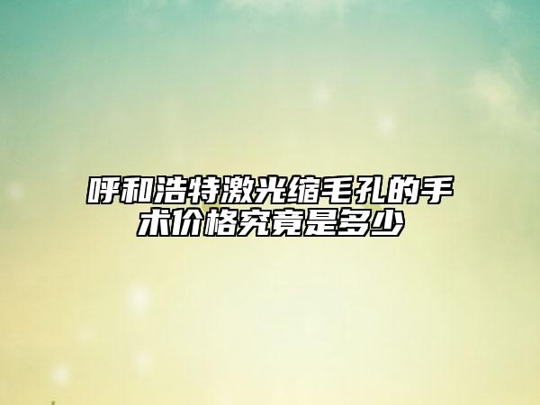 呼和浩特激光縮毛孔的手術(shù)價(jià)格究竟是多少