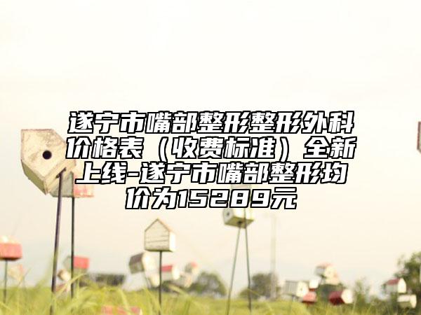 遂寧市嘴部整形整形外科價格表（收費(fèi)標(biāo)準(zhǔn)）全新上線-遂寧市嘴部整形均價為15289元