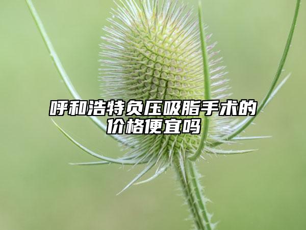 呼和浩特負壓吸脂手術的價格便宜嗎