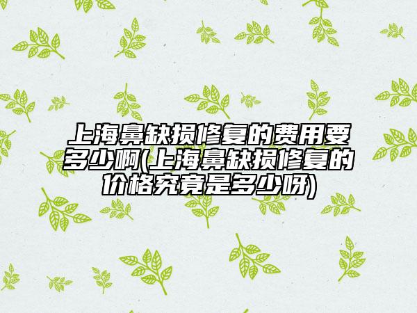 上海鼻缺損修復(fù)的費(fèi)用要多少啊(上海鼻缺損修復(fù)的價格究竟是多少呀)