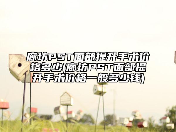 廊坊PST面部提升手術(shù)價(jià)格多少(廊坊PST面部提升手術(shù)價(jià)格一般多少錢(qián))