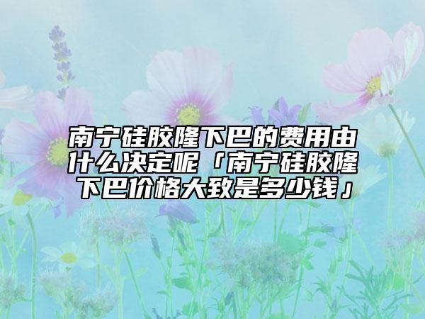 南寧硅膠隆下巴的費(fèi)用由什么決定呢「南寧硅膠隆下巴價(jià)格大致是多少錢」