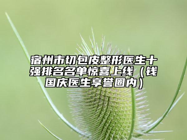宿州市切包皮整形醫(yī)生十強(qiáng)排名名單驚喜上線（錢國慶醫(yī)生享譽(yù)圈內(nèi)）