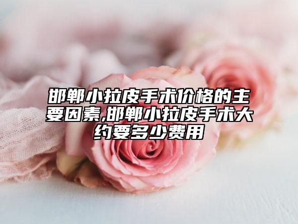 邯鄲小拉皮手術(shù)價(jià)格的主要因素,邯鄲小拉皮手術(shù)大約要多少費(fèi)用