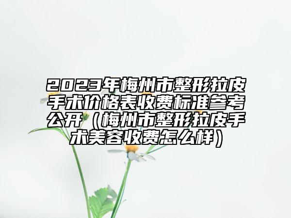 2023年梅州市整形拉皮手術(shù)價格表收費標(biāo)準(zhǔn)參考公開（梅州市整形拉皮手術(shù)美容收費怎么樣）
