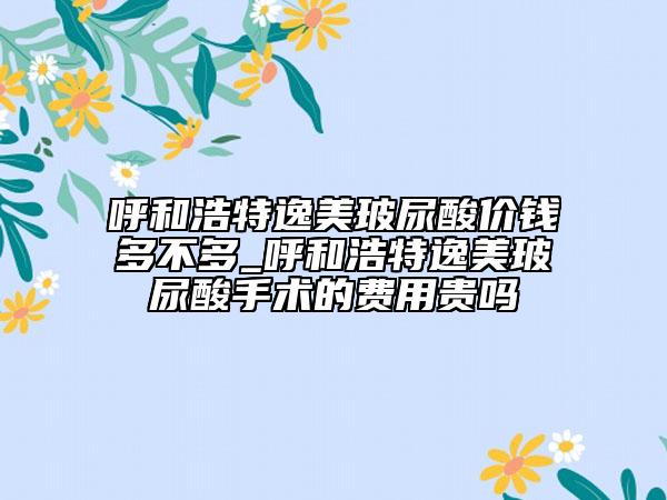 呼和浩特逸美玻尿酸價錢多不多_呼和浩特逸美玻尿酸手術(shù)的費用貴嗎