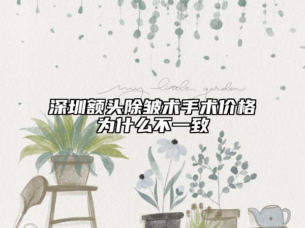深圳額頭除皺術(shù)手術(shù)價(jià)格為什么不一致