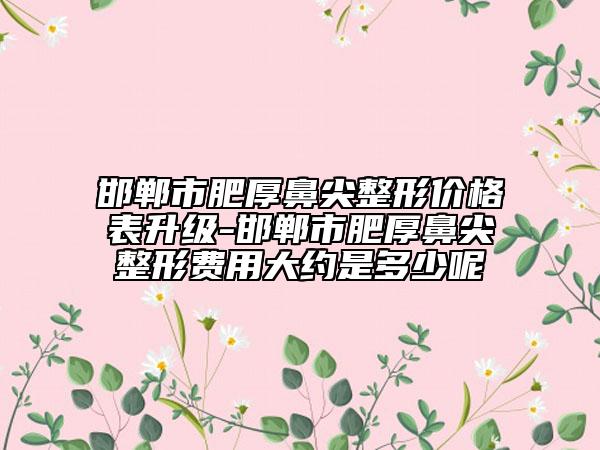 邯鄲市肥厚鼻尖整形價格表升級-邯鄲市肥厚鼻尖整形費用大約是多少呢
