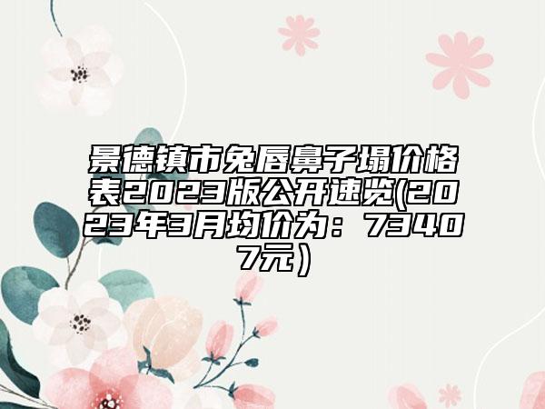 景德鎮(zhèn)市兔唇鼻子塌價格表2023版公開速覽(2023年3月均價為：73407元）