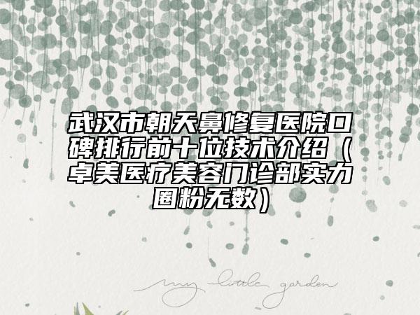 武漢市朝天鼻修復(fù)醫(yī)院口碑排行前十位技術(shù)介紹（卓美醫(yī)療美容門診部實(shí)力圈粉無數(shù)）