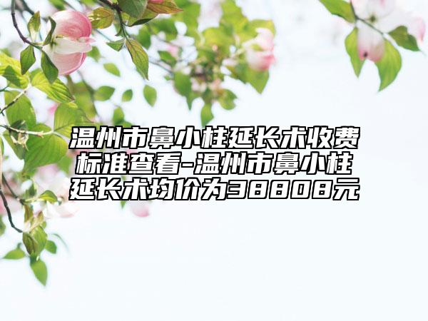 溫州市鼻小柱延長術收費標準查看-溫州市鼻小柱延長術均價為38808元
