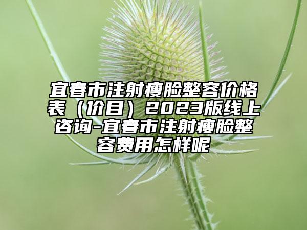 宜春市注射瘦臉整容價格表（價目）2023版線上咨詢-宜春市注射瘦臉整容費用怎樣呢