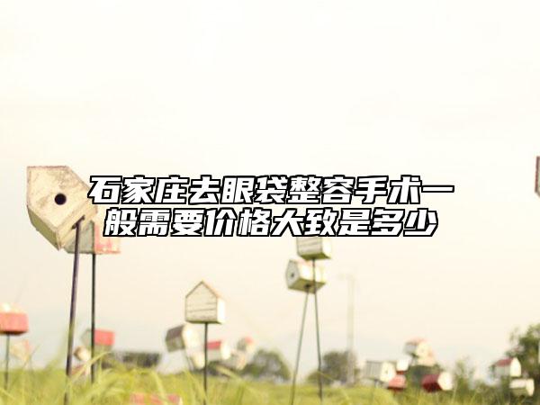 石家莊去眼袋整容手術一般需要價格大致是多少