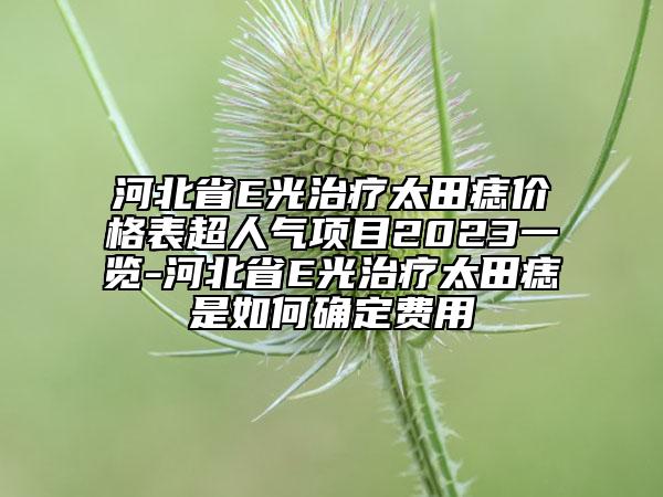 河北省E光治療太田痣價(jià)格表超人氣項(xiàng)目2023一覽-河北省E光治療太田痣是如何確定費(fèi)用