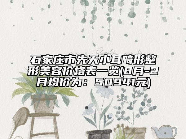石家莊市先天小耳畸形整形美容價格表一覽(8月-2月均價為：50941元)