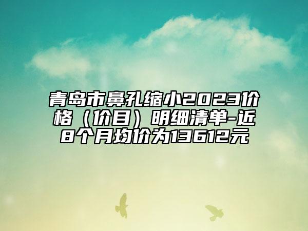 青島市鼻孔縮小2023價(jià)格（價(jià)目）明細(xì)清單-近8個(gè)月均價(jià)為13612元