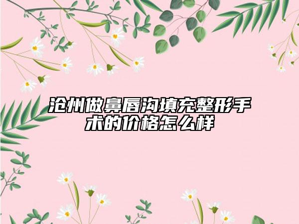 滄州做鼻唇溝填充整形手術(shù)的價格怎么樣