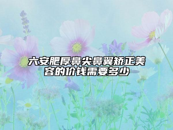 六安肥厚鼻尖鼻翼矯正美容的價(jià)錢需要多少