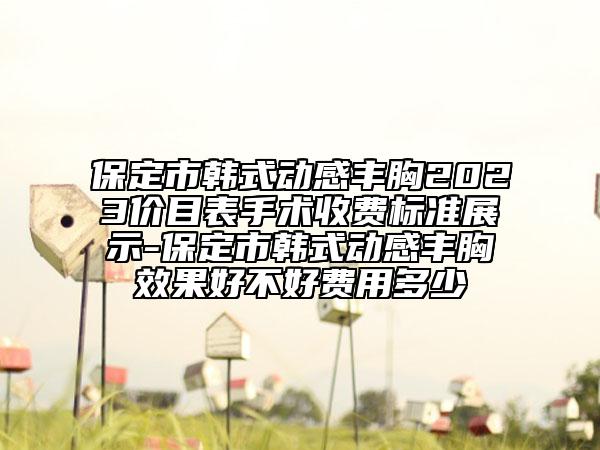 保定市韓式動感豐胸2023價目表手術(shù)收費(fèi)標(biāo)準(zhǔn)展示-保定市韓式動感豐胸效果好不好費(fèi)用多少