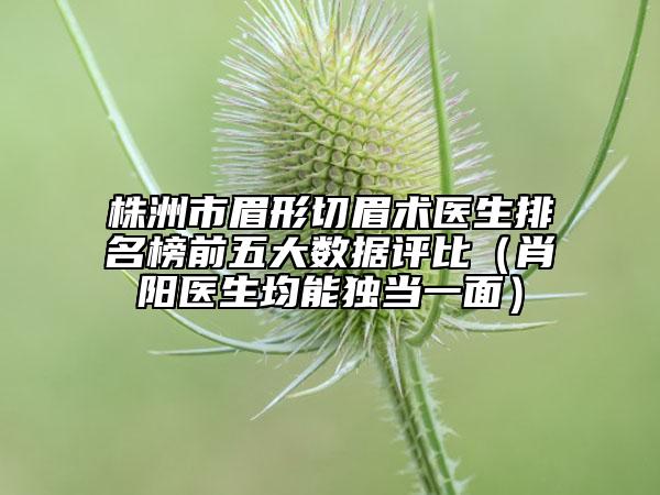 株洲市眉形切眉術(shù)醫(yī)生排名榜前五大數(shù)據(jù)評比（肖陽醫(yī)生均能獨當(dāng)一面）