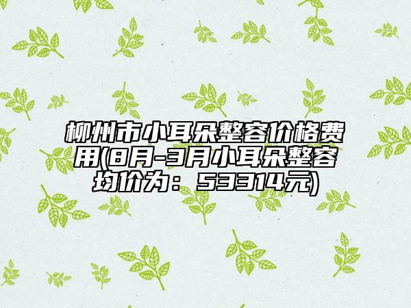 柳州市小耳朵整容價(jià)格費(fèi)用(8月-3月小耳朵整容均價(jià)為：53314元)