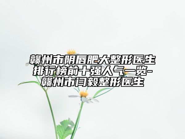 贛州市陰唇肥大整形醫(yī)生排行榜前十強人氣一覽-贛州市閆毅整形醫(yī)生